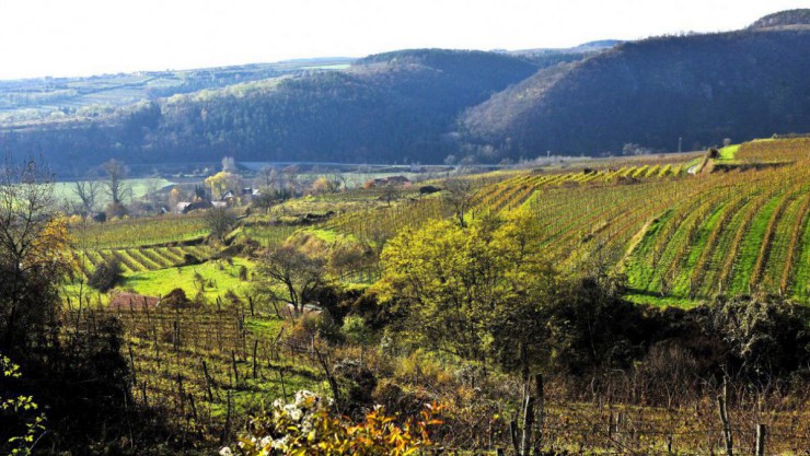 Kamptal und Kremstal