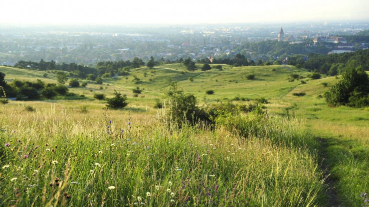 Naturpark Föhrenberge
