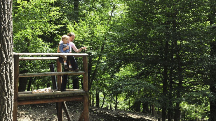 Naturpark Purkersdorf Sandstein- Wienerwald