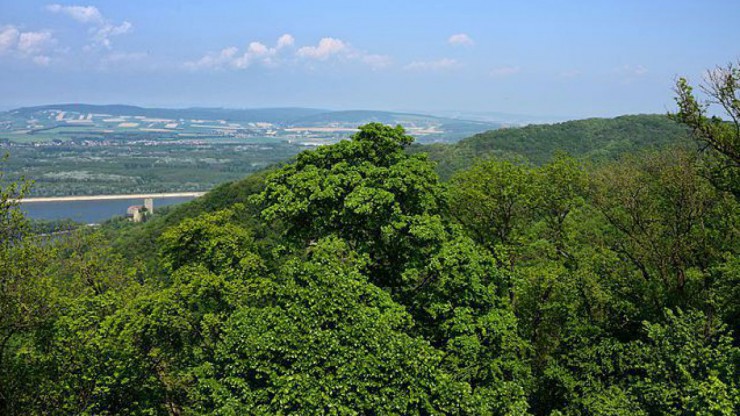 Naturschutzgebiet Altenberg