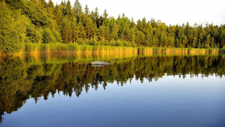 Heidenreichsteiner Moor