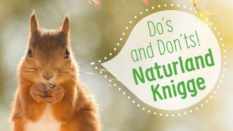 Naturland Knigge Eichh&ouml;rnchen