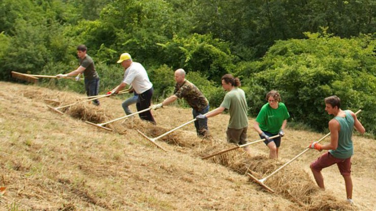 Pflegeeinsatz Welterbegemeinden-Wachau
