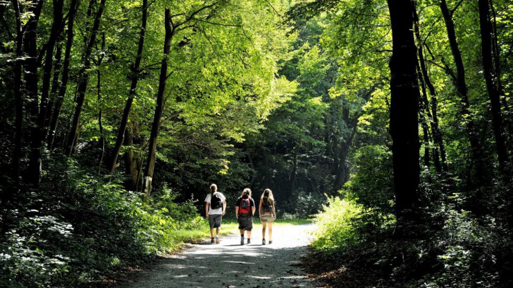 Wanderungen durch Landschaften mit Geschichte sind besonders kurzweilig.