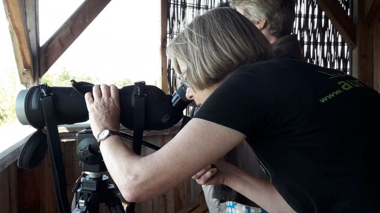 Die March-Thaya-Auen waren eines von rund 20 Zielen bei den Wanderungen.