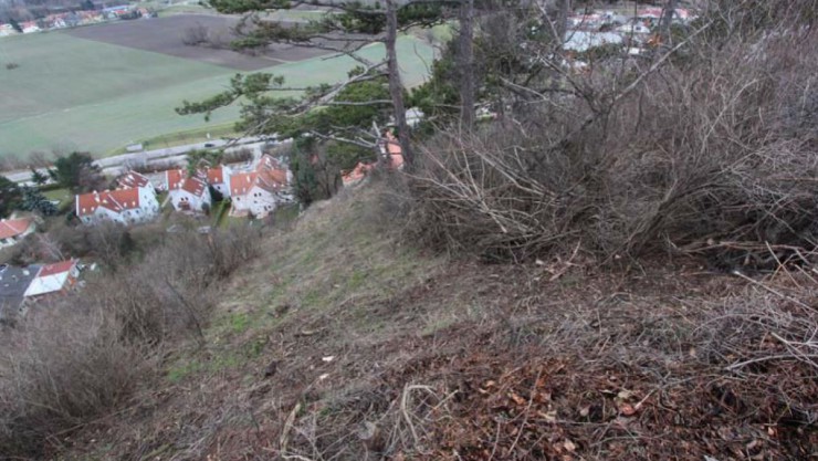 Pflegearbeiten Bisamberg 2017