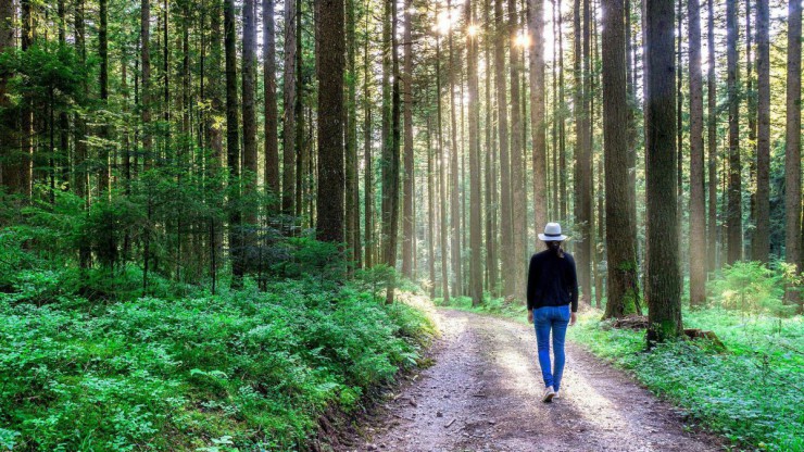 Frau geht im Wald spazieren.