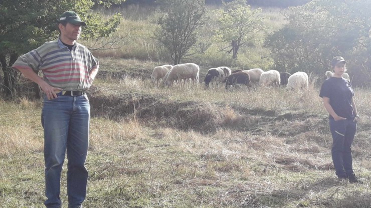 einsatz-zeiserlberg-c-martina-kainz