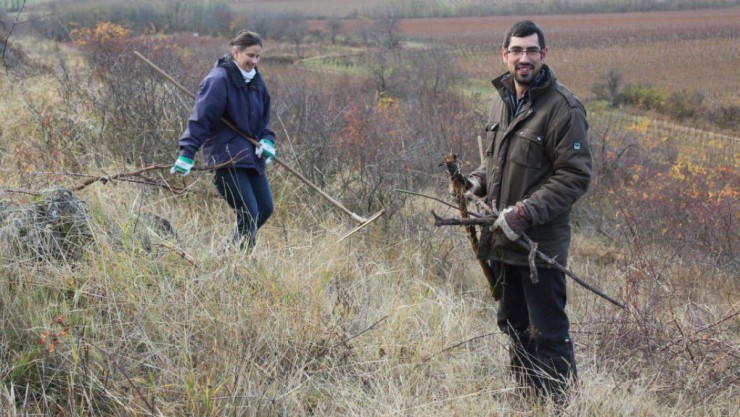 pflegeeinsatz-c-helene-schrolmberger