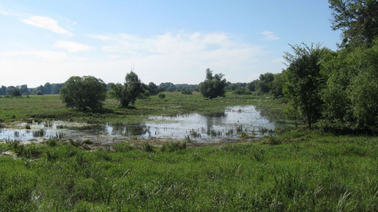 bauernwiesen-c-ute-nuesken