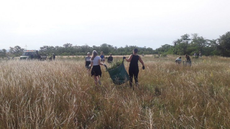 anpacken-am-meisterberg-3