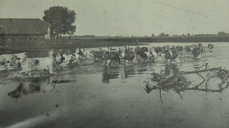 ehemalige-viehtrieb-c-museum-rabensburg-web