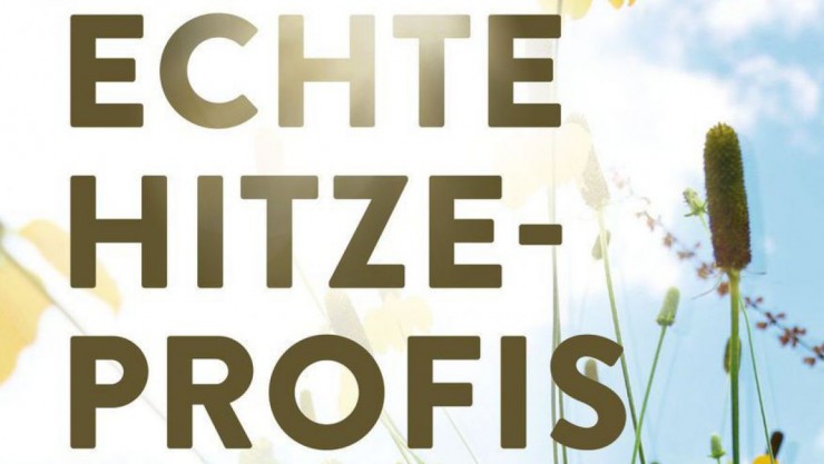 Cover Hitzeprofis