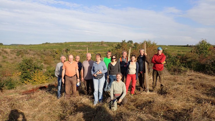 Gruppe von Menschen steht auf einer gem&auml;hten Fl&auml;che, manche haben Werkzeuge in der Hand.
