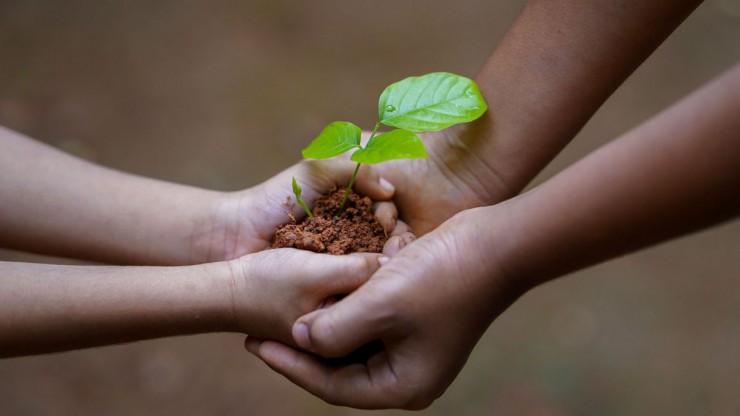 Vier H&auml;nde halten einen Erdklumpen mit einem Baumspr&ouml;ssling