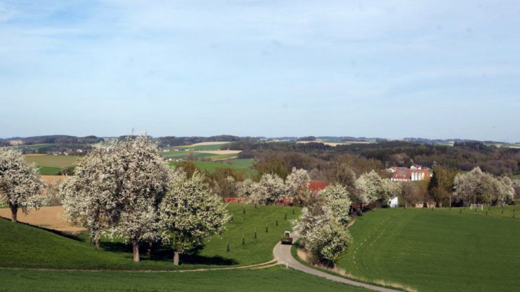 Landwirtschaftlich gepr&auml;gte Landschaft mit bl&uuml;henden Obstb&auml;umen, Dorf mit Kirche, blauer Himmel