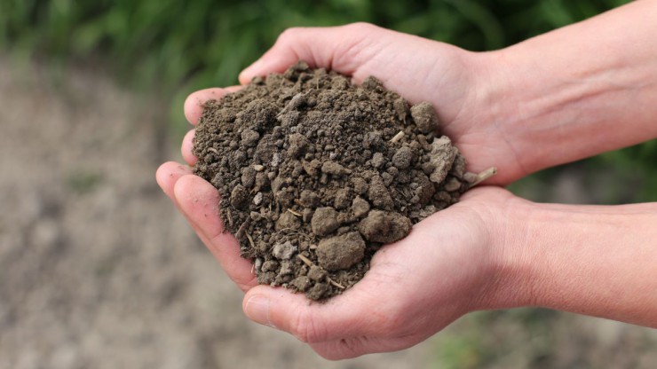 Eine Handvoll Erde wird von einem Menschen getragen, es sind nur die H&auml;nde ersichtlich.