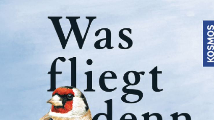 Oberer Ausschnitt des Covers des neu &uuml;berarbeiteten Kosmos-Naturf&uuml;hrers "Was fliegt denn da?"