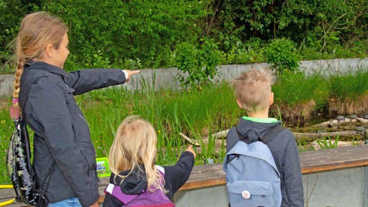 Kinder sehen sich das Gehege der Sumpfschildkr&ouml;ten im Schloss Orth im Nationalpark Donau-Auen an.