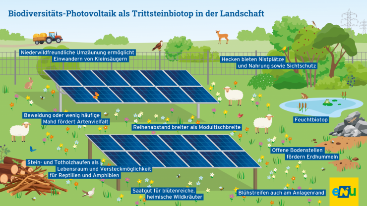 Neue Informationsgrafik der eNu zu Biodiversit&auml;ts-Photovoltaik als Trittsteinbiotop in der Landschaft