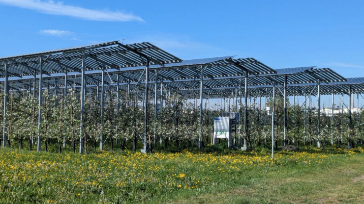 Photovoltaik-Anlage auf landwirtschaftlich genutzter Fl&auml;che