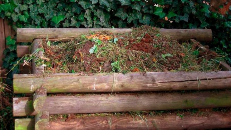 Kompost_Wikipedia_Musklprozz