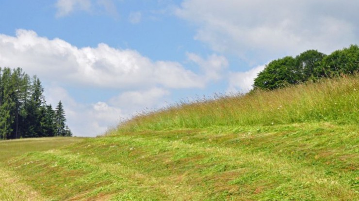 Heuernte_Fotolia_23881384_S_photo_5000