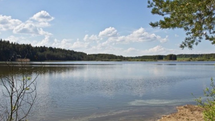 Bruneiteich_bei_Altmanns